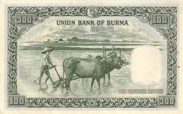  Farmer, oxen
