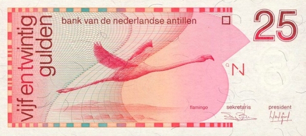  Flamingo