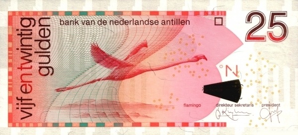  Flamingo