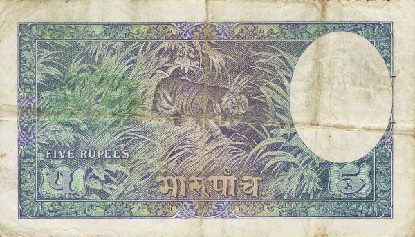  Tiger