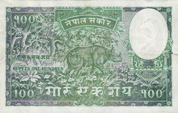  Rhinoceros