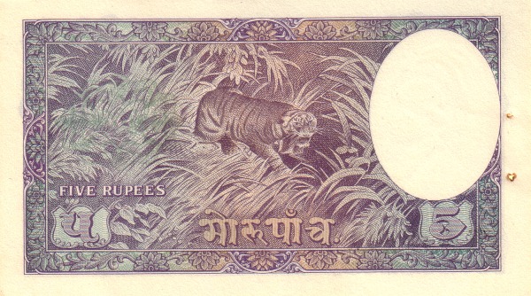  Tiger