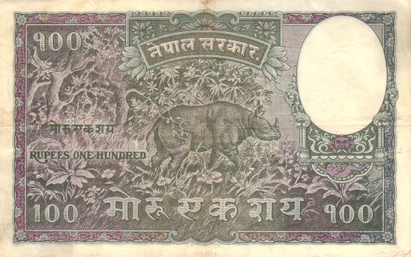  Rhinoceros