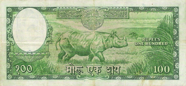  Rhinoceros