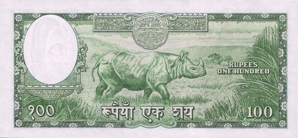  Rhinoceros