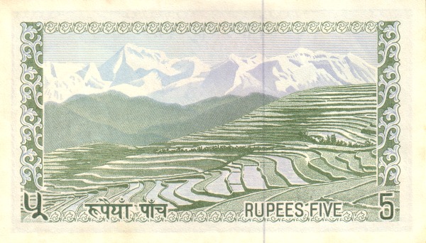  Terraced hill,  Himalaya