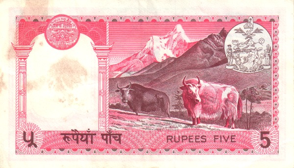 Yaks