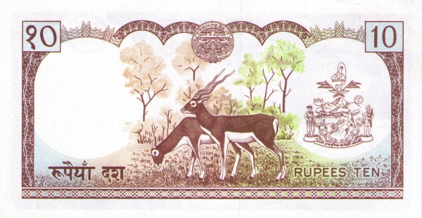  Antelopes