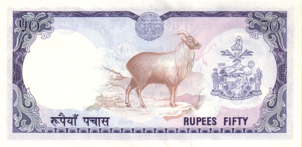  Himalayan Tahr