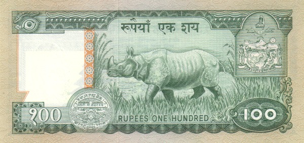  Rhinoceros