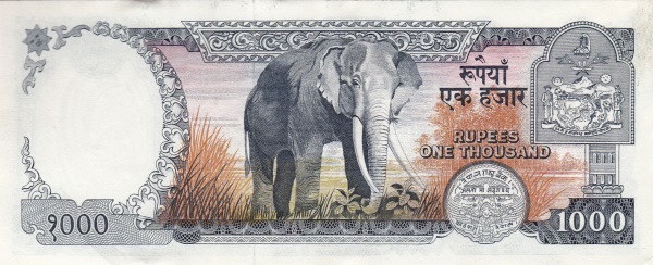  Elephant