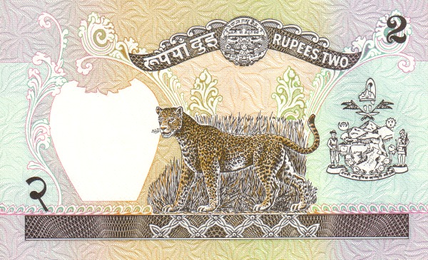  Leopard