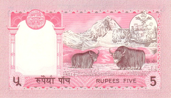  Yaks, Mt.  Everest