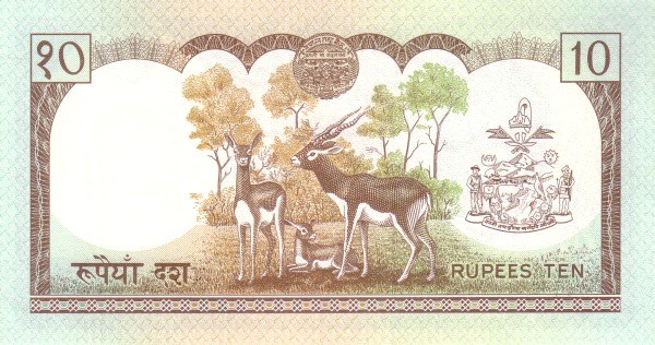  Antelopes