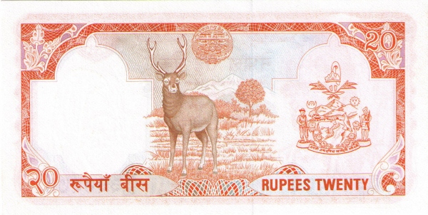  Sambar deer