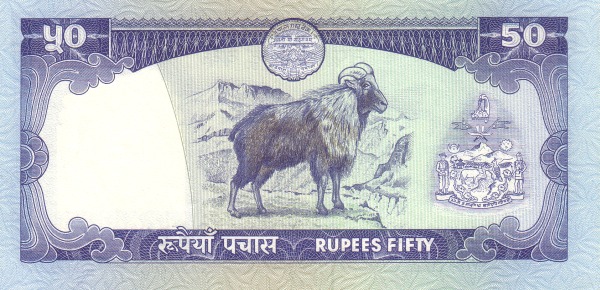  Himalayan Tahr