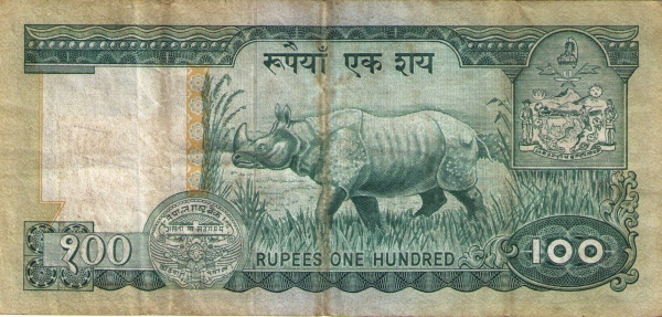  Rhinoceros