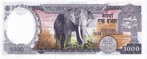  Elephant