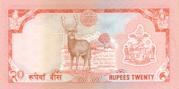  Sambar deer