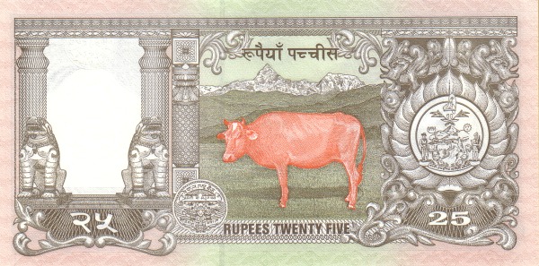  Bull