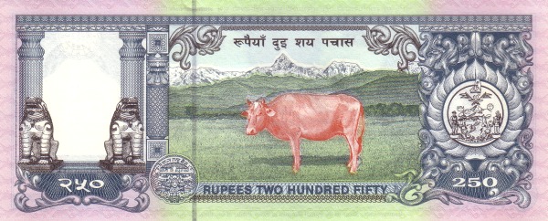  Bull