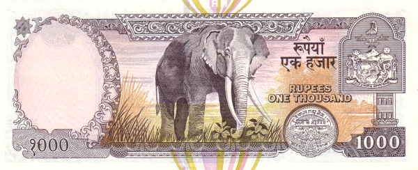  Elephant