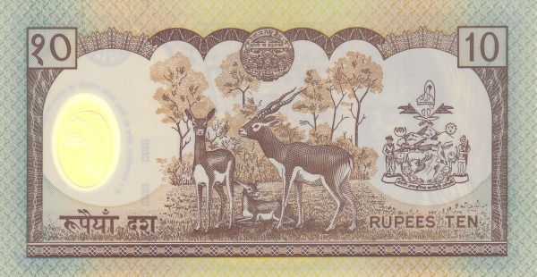  Antelopes