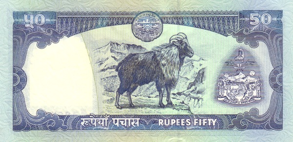  Himalayan Tahr