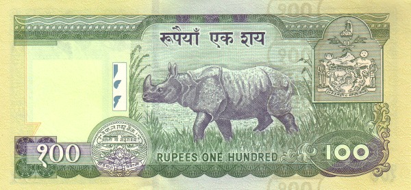  Rhinoceros