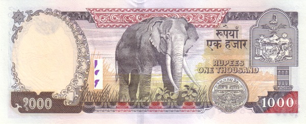  Elephant