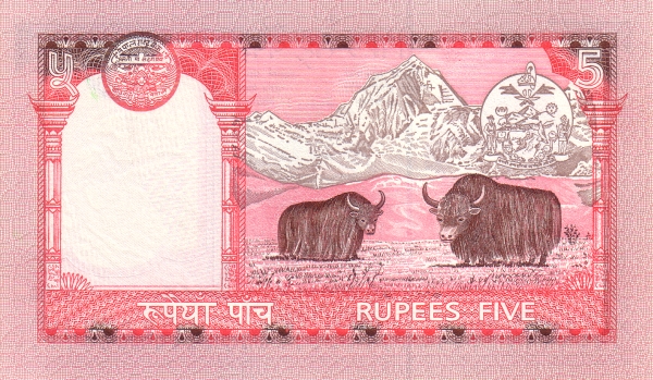  Yaks, Mt.  Everest