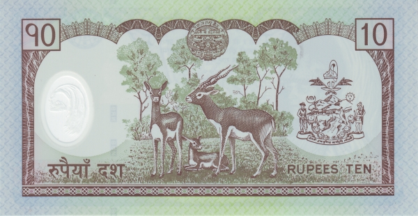  Antelopes