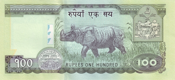  Rhinoceros