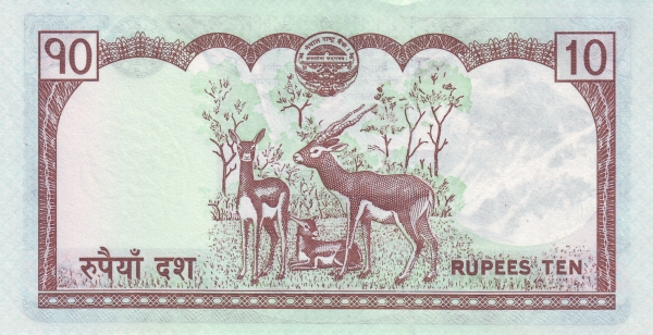  Antelopes