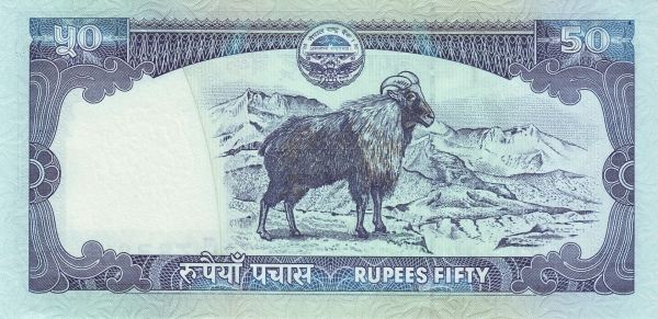  Himalayan Tahr