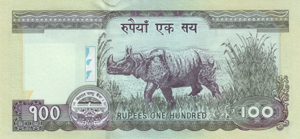  Rhinoceros