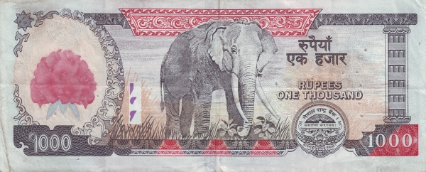  Elephant
