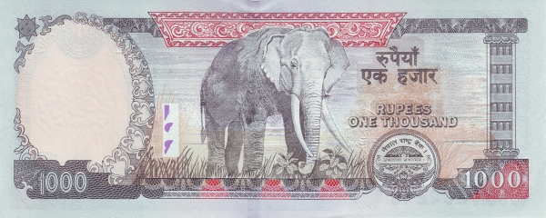   Elephant