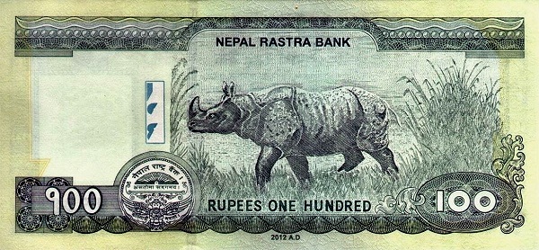  Rhinoceros