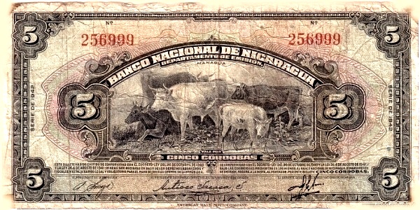   Cattle
