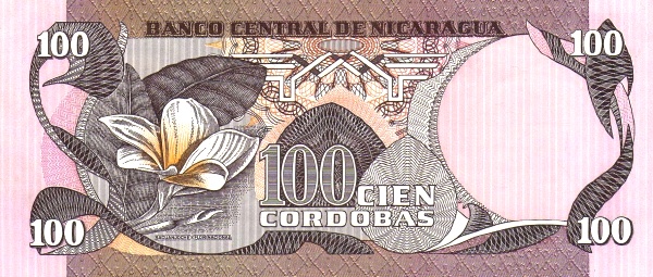  Sacuanjoche (National flower)