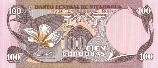  Sacuanjoche (National flower)