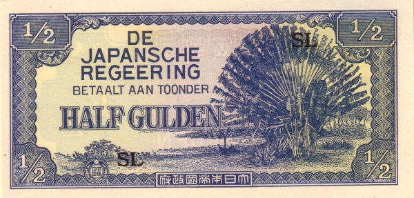  Sun palm