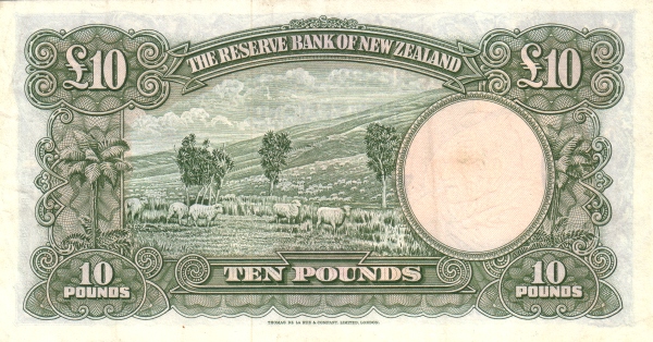  Sheep