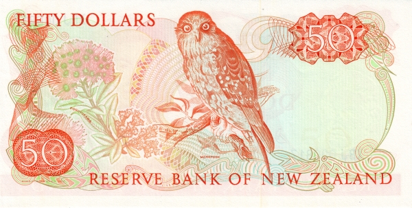  Morepork owl