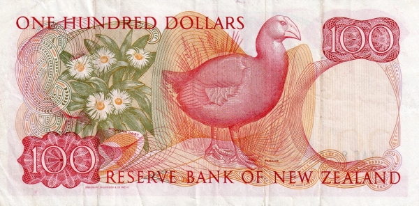  Daisies, Takahe