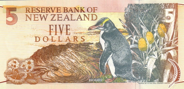  Hoiho  (yellow-eyed penguin)