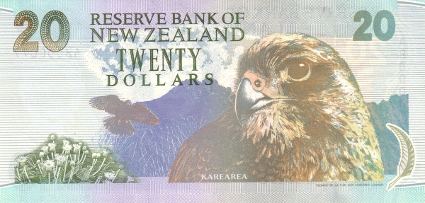  Karearea (New Zealand  falcon)