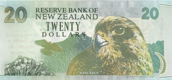  Karearea (New Zealand  falcon)