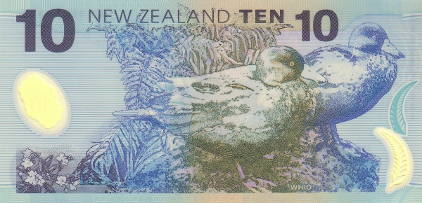  Whio (blue  ducks)